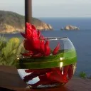 Logo To Know Is Better Academy