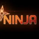 Logo AI NINJA