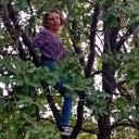 Logo All about Bach flowers