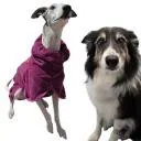 Logo Backyard Dog Training Matters