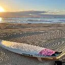 Logo 👣 <mark>Beach</mark> Life 🏝️