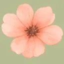 Logo Bloom + Be Community