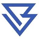 Logo BEST VERSION NETWORK