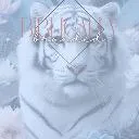 Logo Biblically Branded