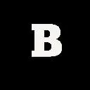 Logo Bin_info production