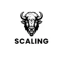 Logo Bizon Scaling Team