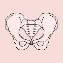 Logo Calm <mark>Bladder</mark> Circle