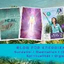 Logo Snez' Blog f. Energiekompetenz