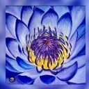 Logo Blue <mark>Lotus</mark> Healing School