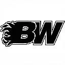 Logo Bmore Wealthy