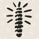 Logo Body Mastery | University