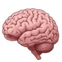 Logo BrainHackers