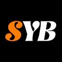 Logo Scale Your Business