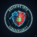 Logo Breaking into Cyber Security
