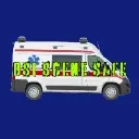 Logo BSI/Scene Safe EMS Tutoring