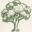 Logo 品牌起源地|Origin of Brand