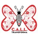 Logo C.A.L.L. transforma