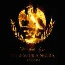 Logo <mark>Club Águila Negra</mark>