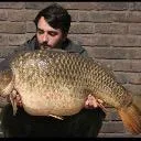 Logo CARP <mark>FISH</mark>ING DIRECTORY