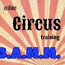 Logo Circus training B.A.M.M.