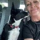 Logo Classy K9 Training <mark>Solutions</mark>