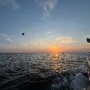 Logo Commercial <mark>fish</mark>ing skool