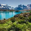 Logo Counselling Services