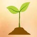 Logo Dream Life Society