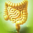 Logo Darm<mark>gesundheit</mark>