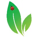 Logo Debbie Does Detox