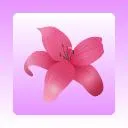 Logo Weight Loss After 40