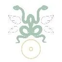 Logo Priestess Of Color Network