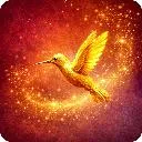 Logo Divine <mark>Destiny</mark>