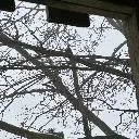 Logo Dizza destination