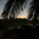 Logo Doing Dad Tings