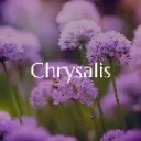 Logo Dr. Amy's Chrysalis