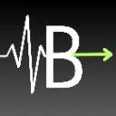 Logo <mark>Baseline</mark> Reset