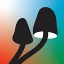 Logo Elevated <mark>Micro</mark> Network