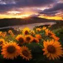 Logo Elizabeth Lambert 3R Method