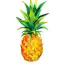 Logo Energy Boosters 🤩🥳🥰