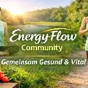 Logo Energy-Flow-Community