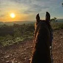 Logo <mark>Equine</mark> Tips And Tricks