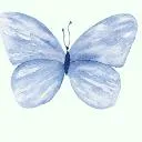 Logo Love and Addiction