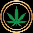 Logo CANNABIS OIL SECRETS