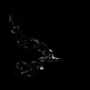 Logo <mark>Feeling</mark> Freedom