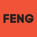 Logo FENG Accelerator