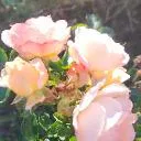 Logo Fight Depression