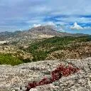 Logo Finansinės laisvės akademija