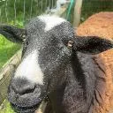 Logo First Time Farmers