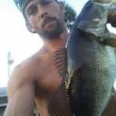 Logo Fish frenzy tips and lures